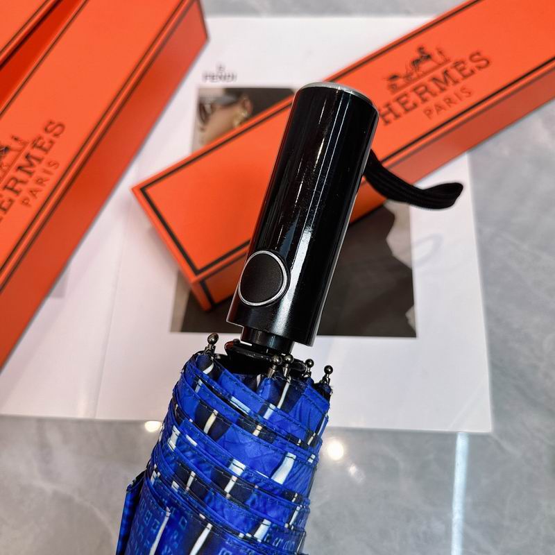 Hermes Umbrella (162)