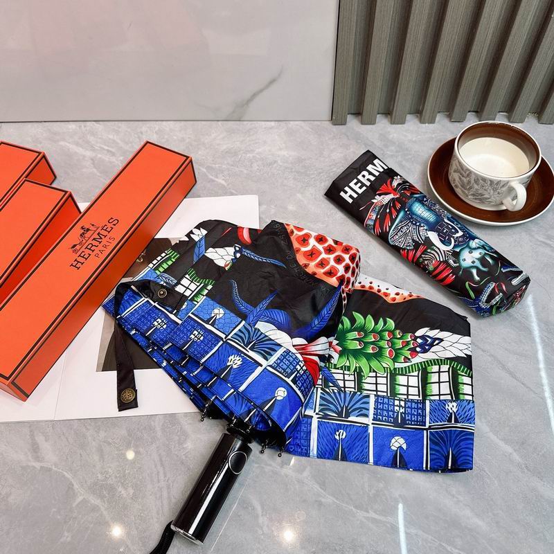 Hermes Umbrella (163)