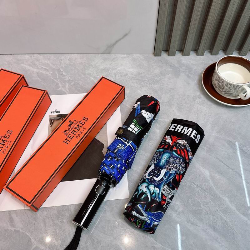 Hermes Umbrella (166)