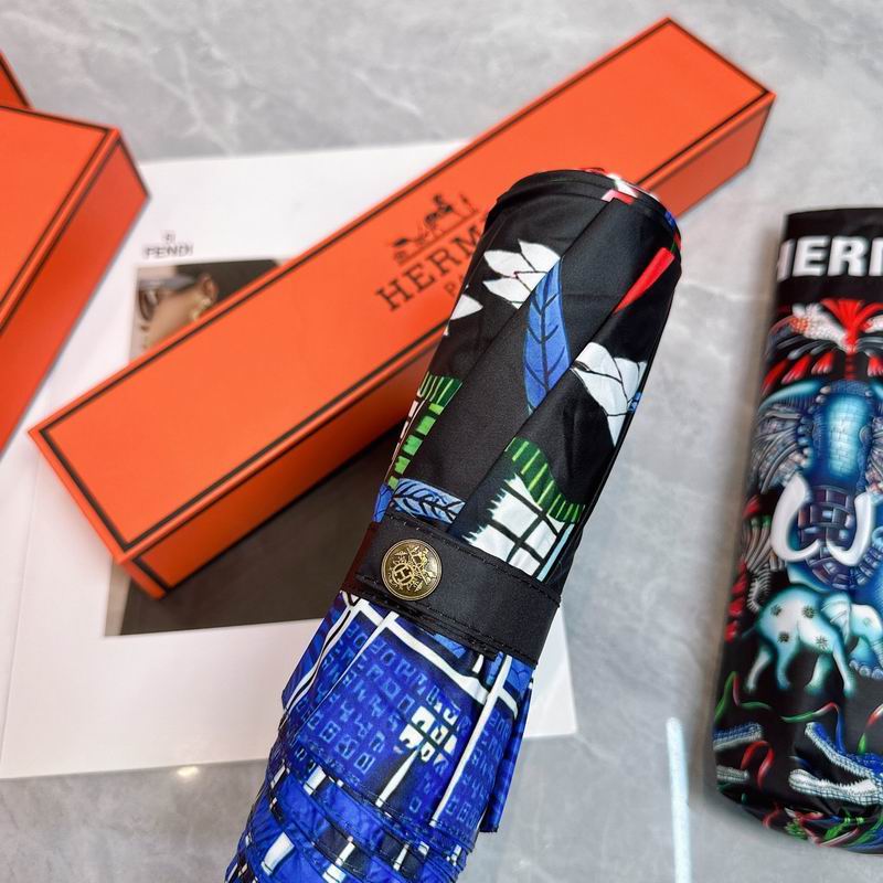 Hermes Umbrella (167)