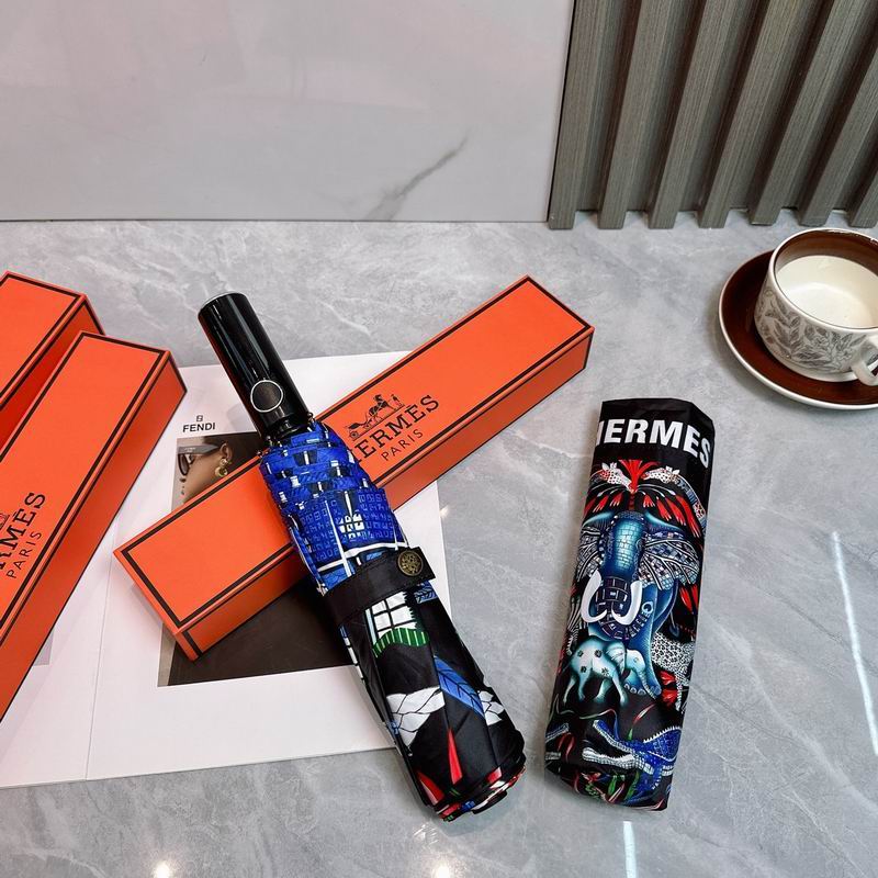 Hermes Umbrella (168)