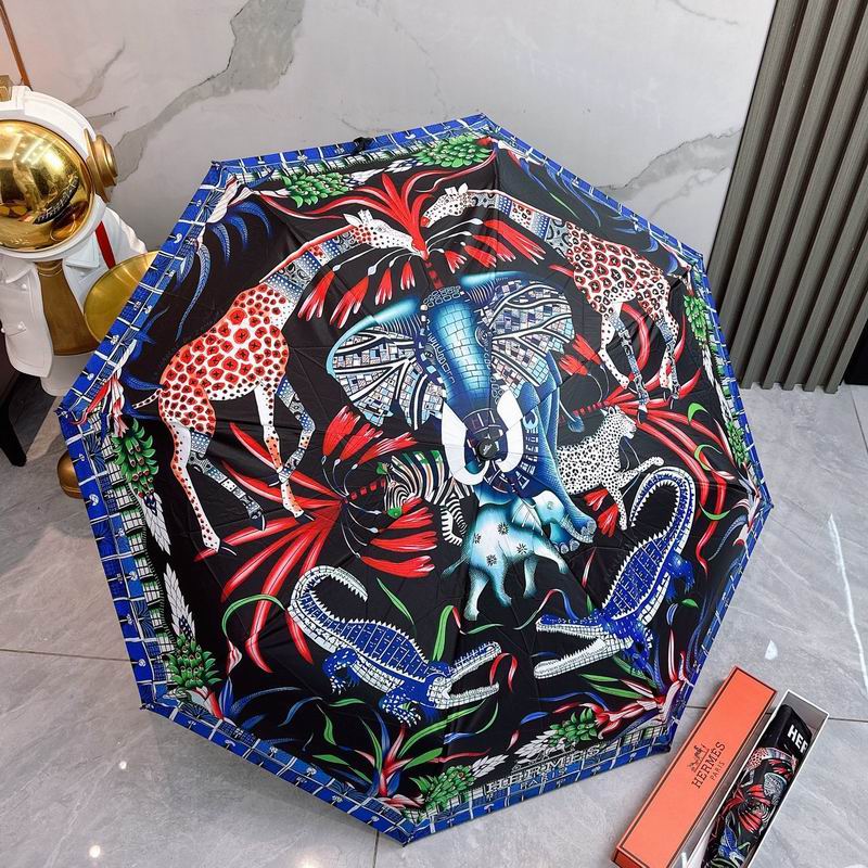 Hermes Umbrella (169)
