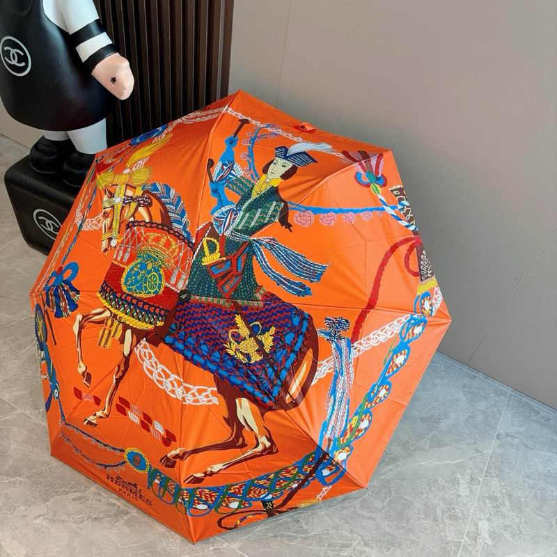 Hermes Umbrella (17)