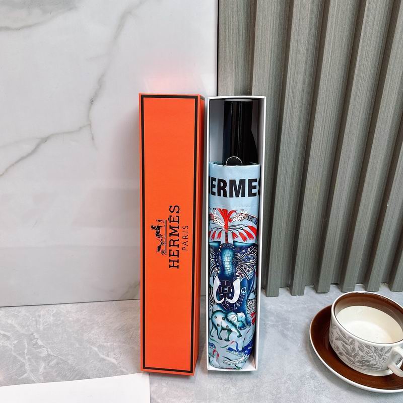 Hermes Umbrella (170)