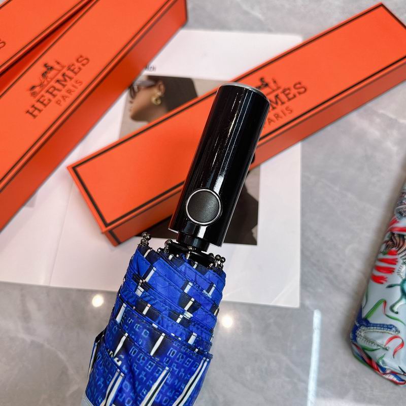 Hermes Umbrella (171)