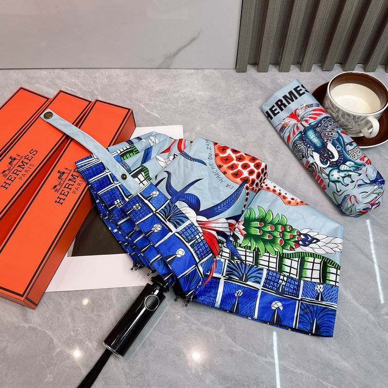 Hermes Umbrella (172)