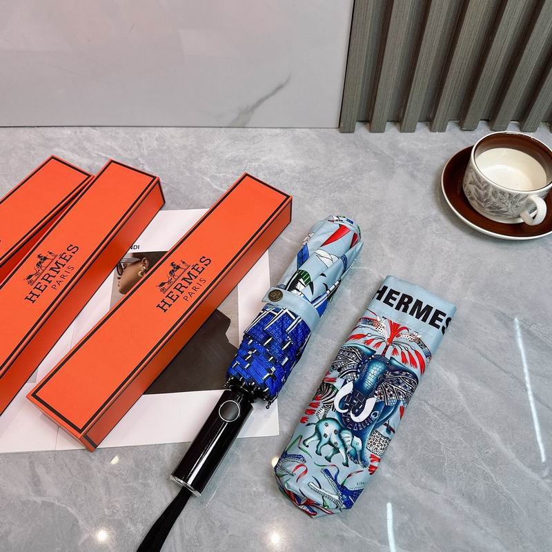 Hermes Umbrella (175)