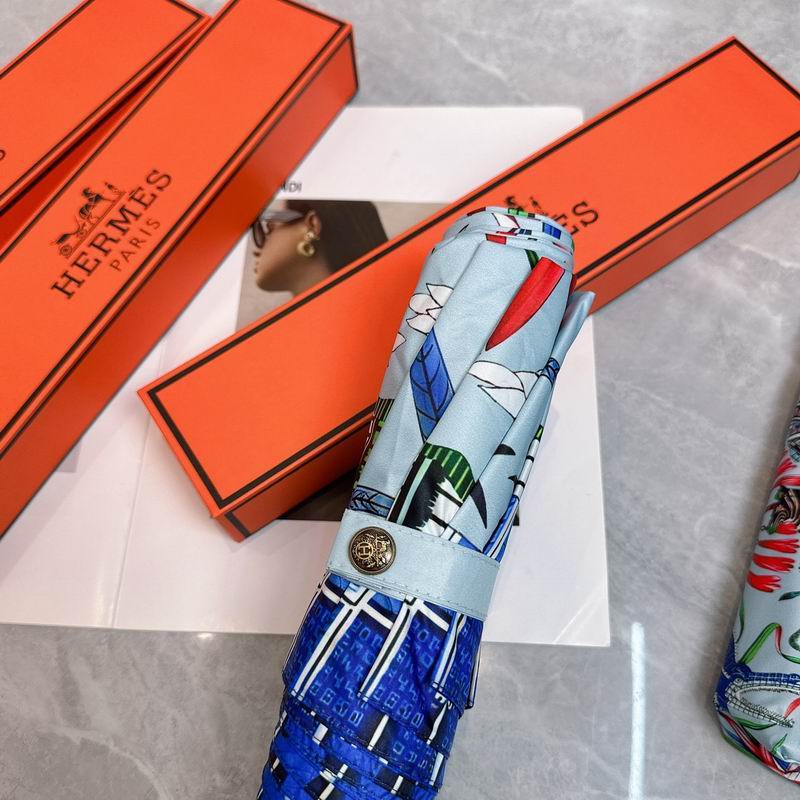 Hermes Umbrella (176)