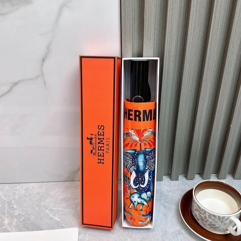 Hermes Umbrella (179)