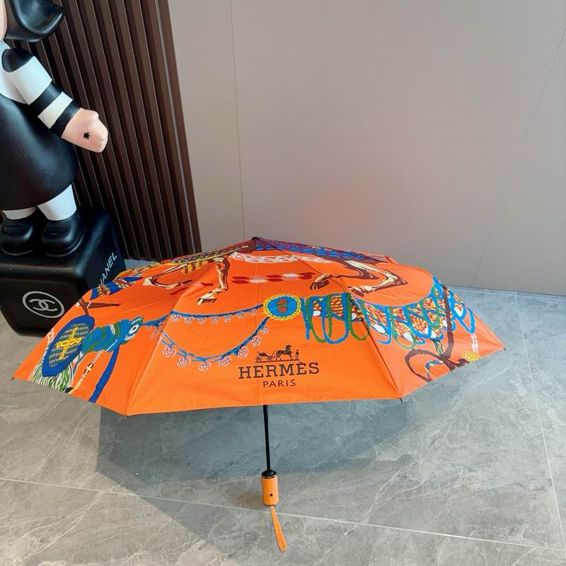 Hermes Umbrella (18)