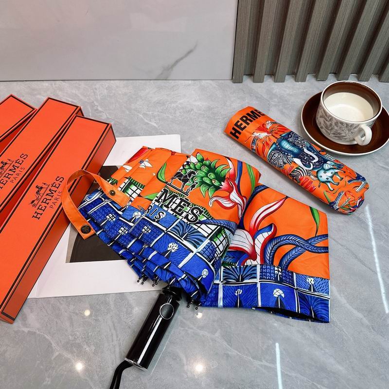 Hermes Umbrella (181)