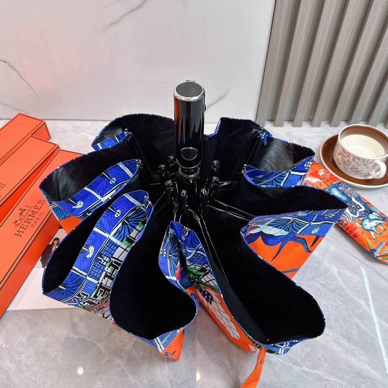 Hermes Umbrella (183)
