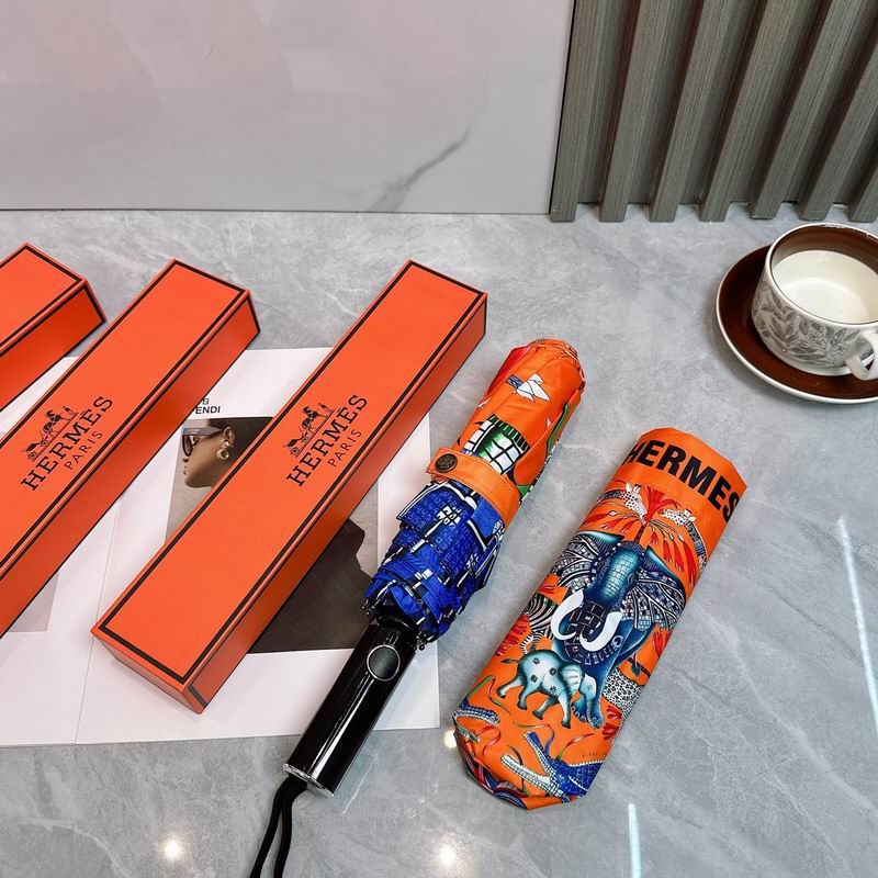 Hermes Umbrella (184)