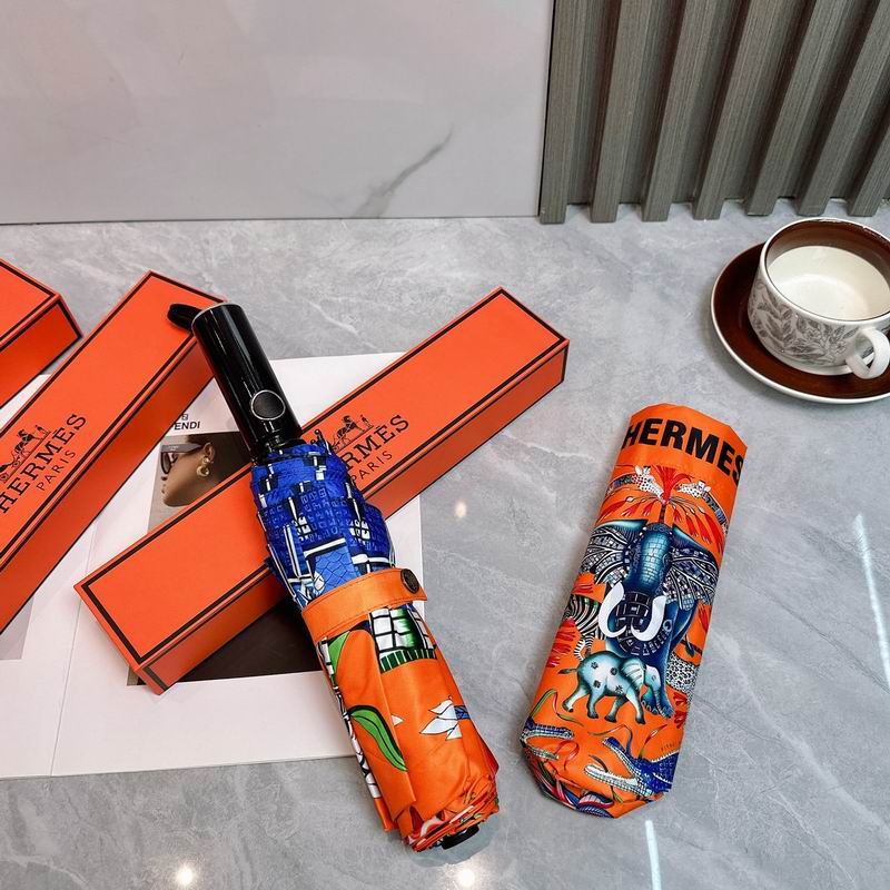 Hermes Umbrella (185)
