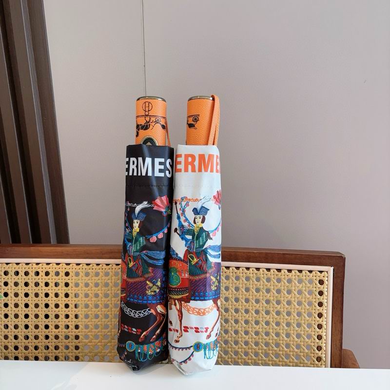 Hermes Umbrella (19)