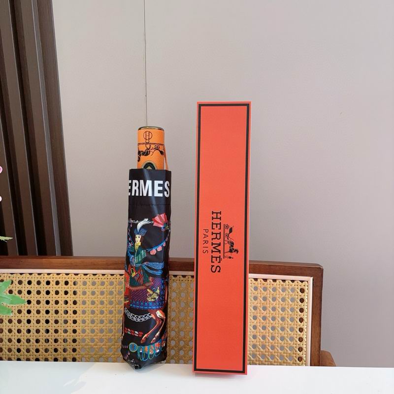 Hermes Umbrella (20)
