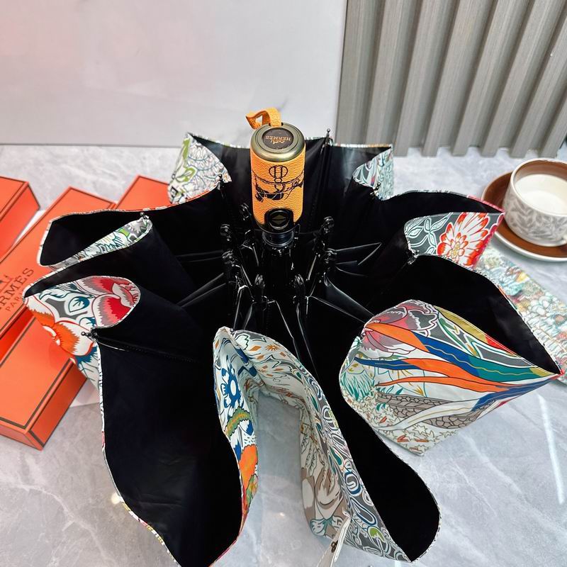 Hermes Umbrella (201)