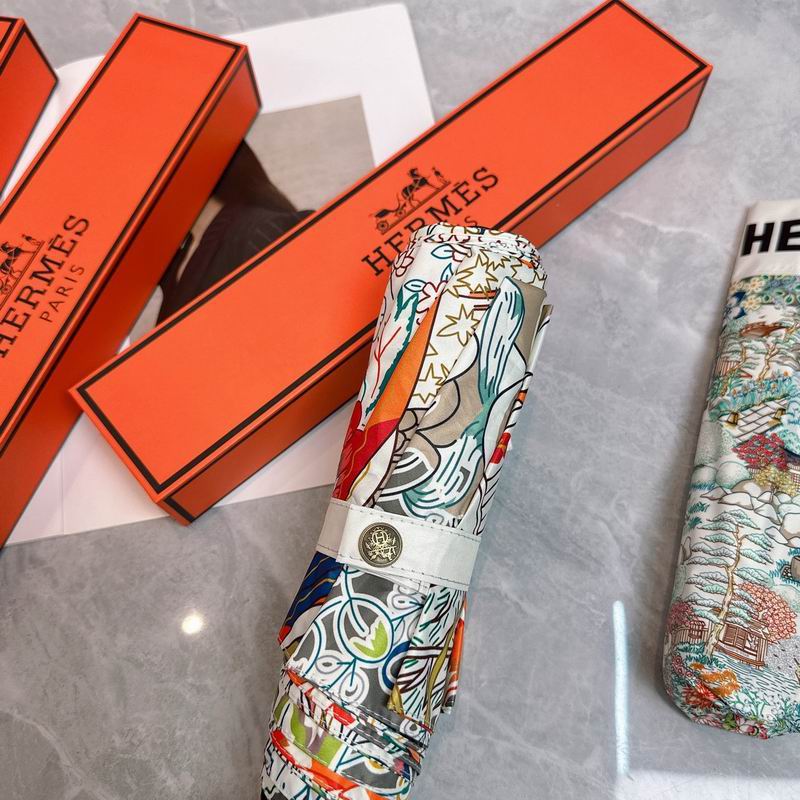 Hermes Umbrella (203)