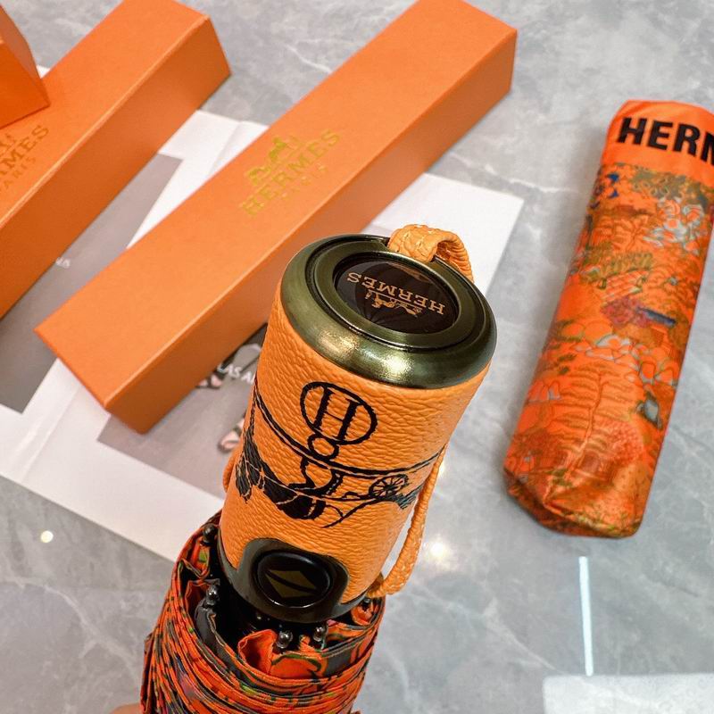 Hermes Umbrella (207)