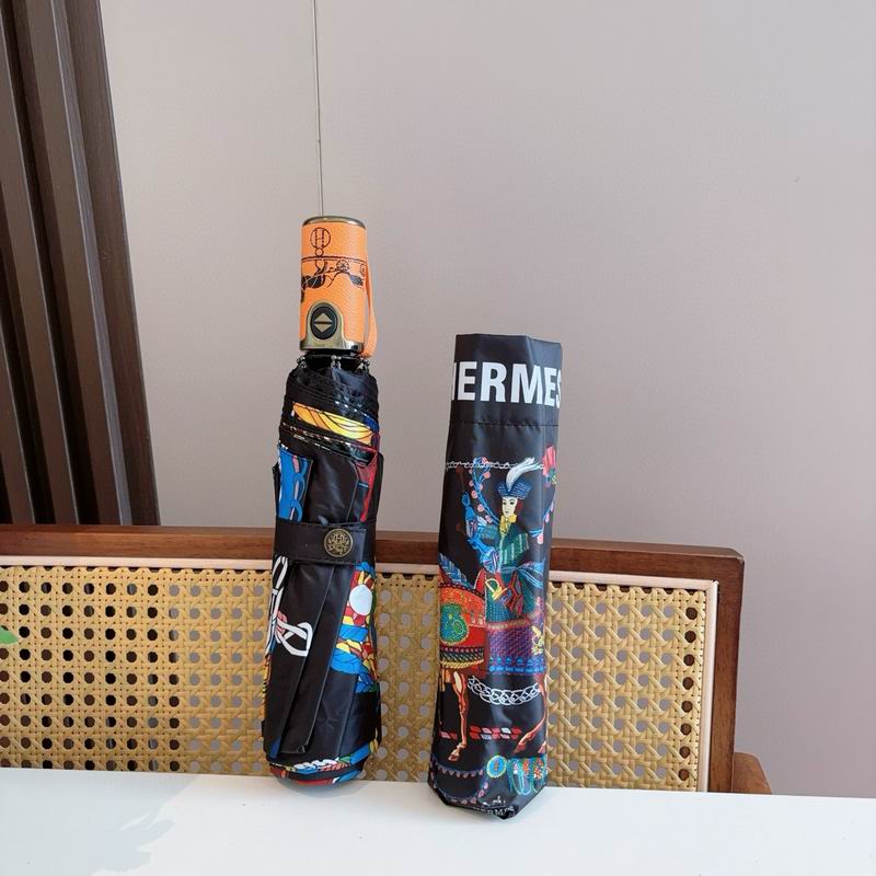 Hermes Umbrella (21)