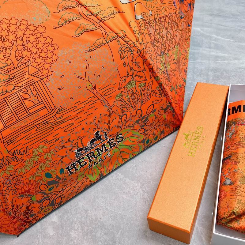 Hermes Umbrella (213)