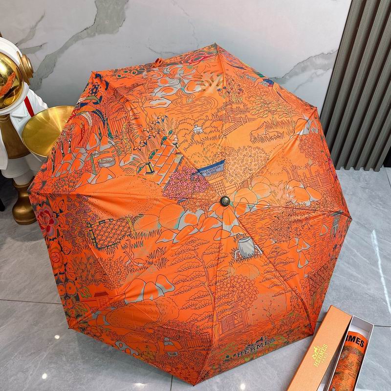 Hermes Umbrella (214)