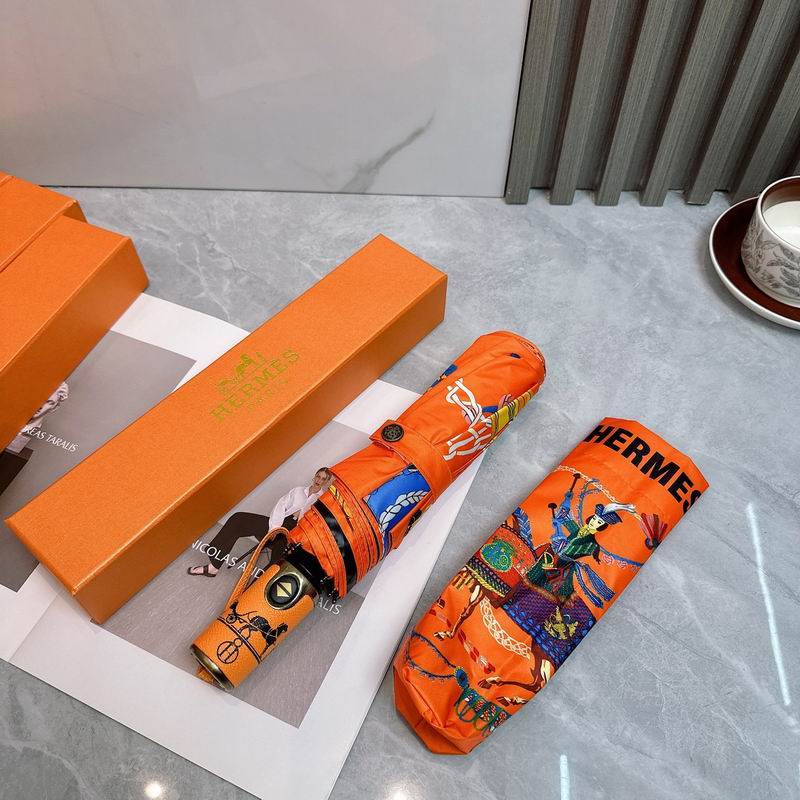 Hermes Umbrella (217)