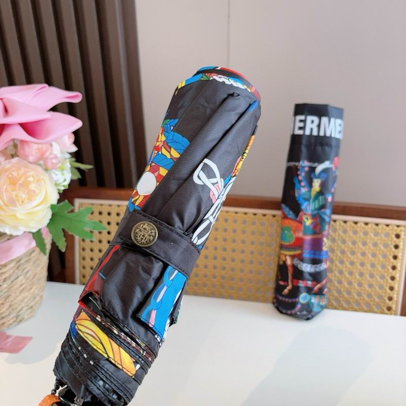 Hermes Umbrella (22)