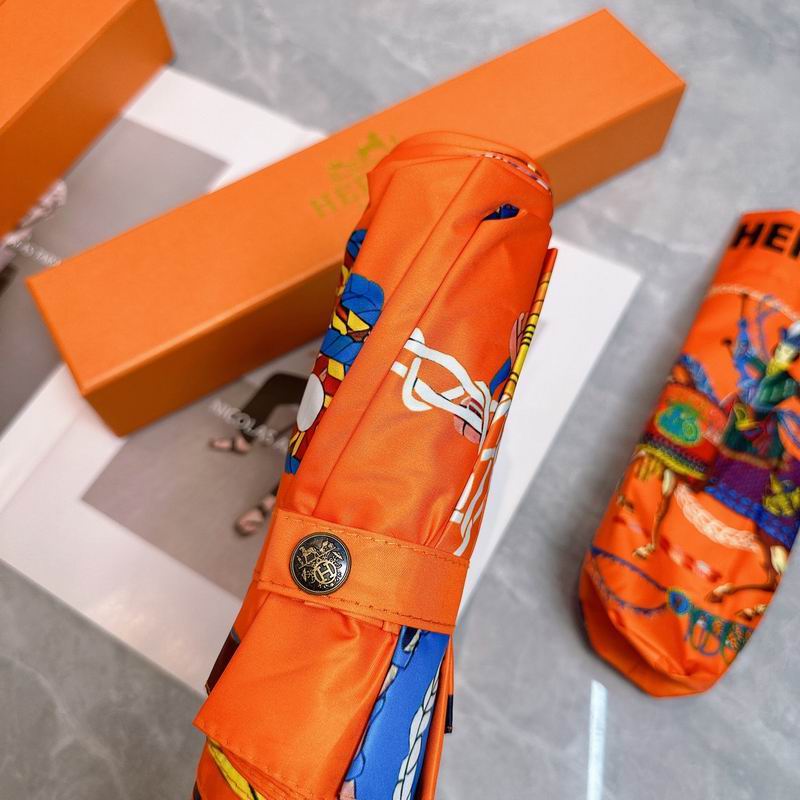 Hermes Umbrella (221)