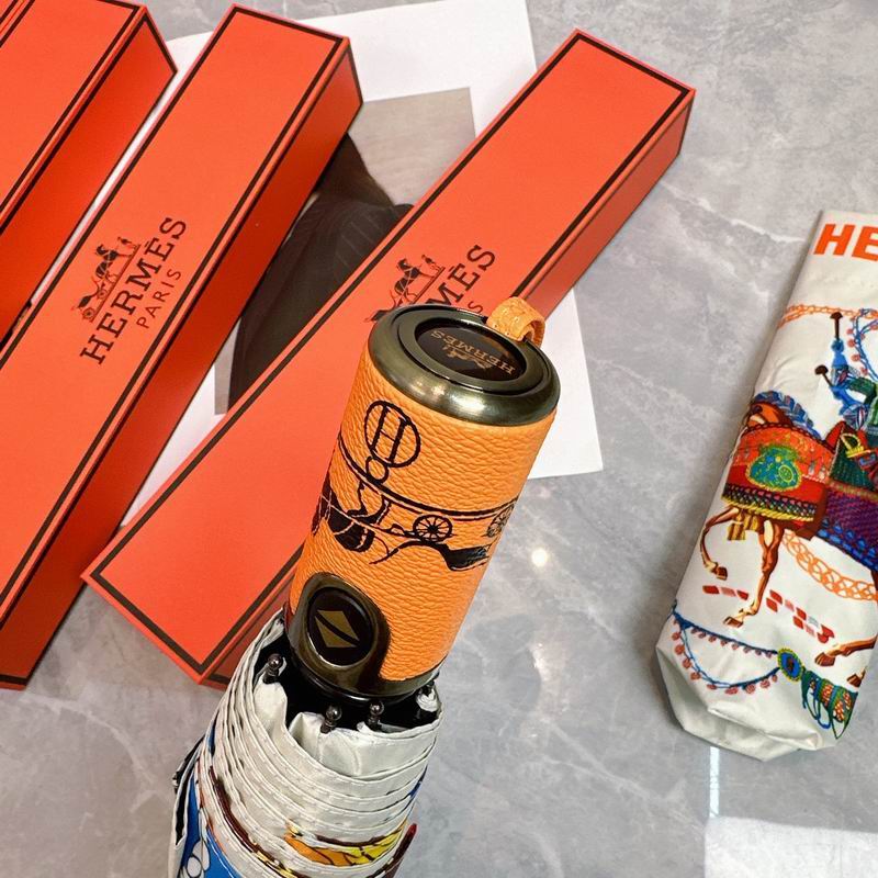 Hermes Umbrella (234)