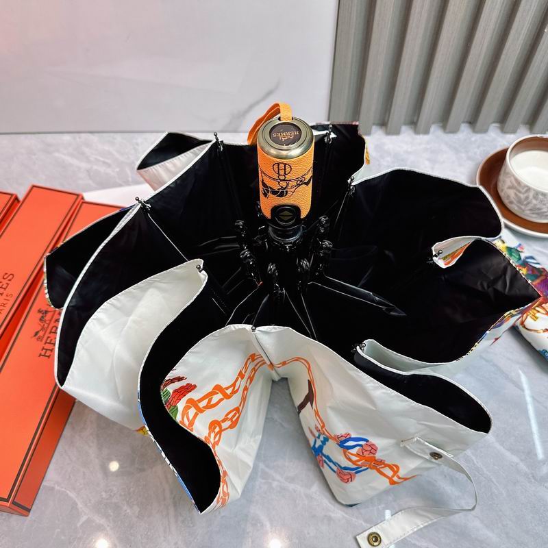 Hermes Umbrella (237)