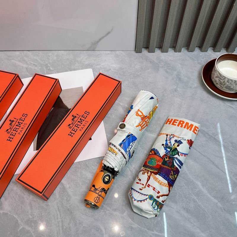 Hermes Umbrella (238)