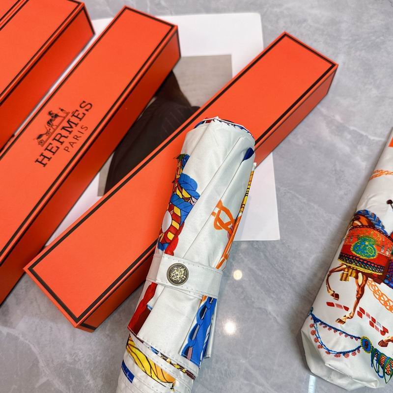 Hermes Umbrella (239)