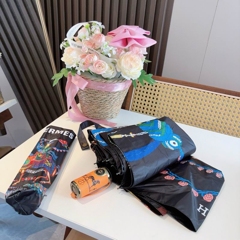 Hermes Umbrella (24)