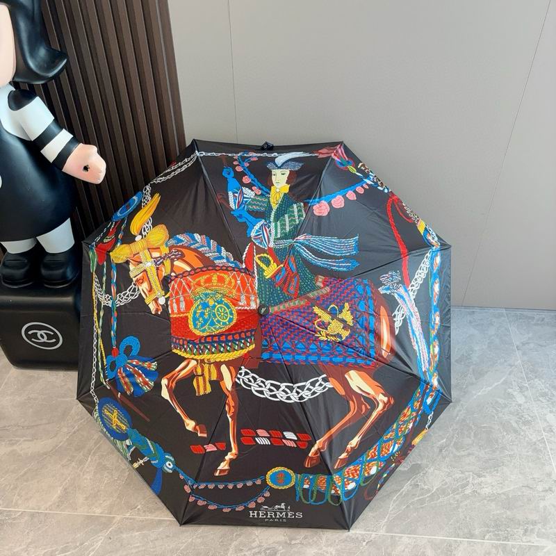 Hermes Umbrella (25)