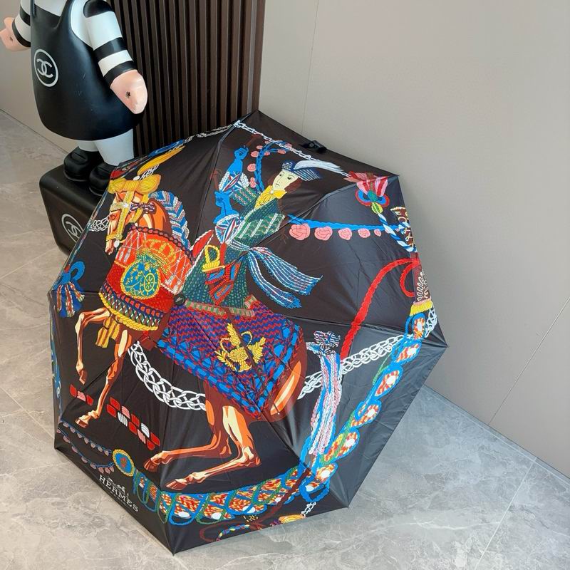Hermes Umbrella (26)