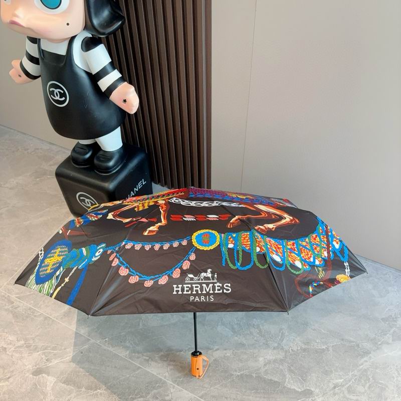 Hermes Umbrella (27)
