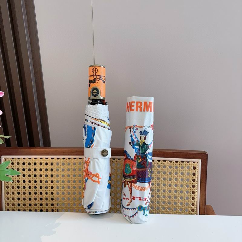 Hermes Umbrella (29)