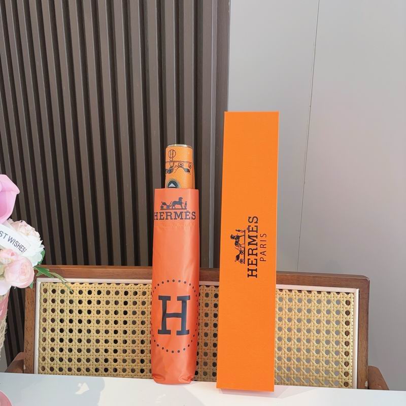 Hermes Umbrella (296)