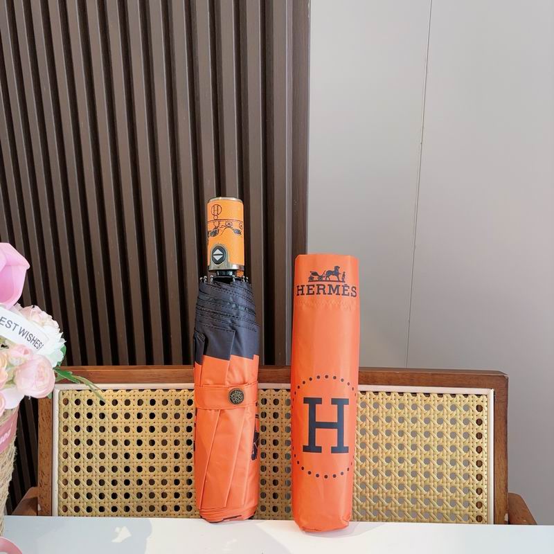 Hermes Umbrella (297)