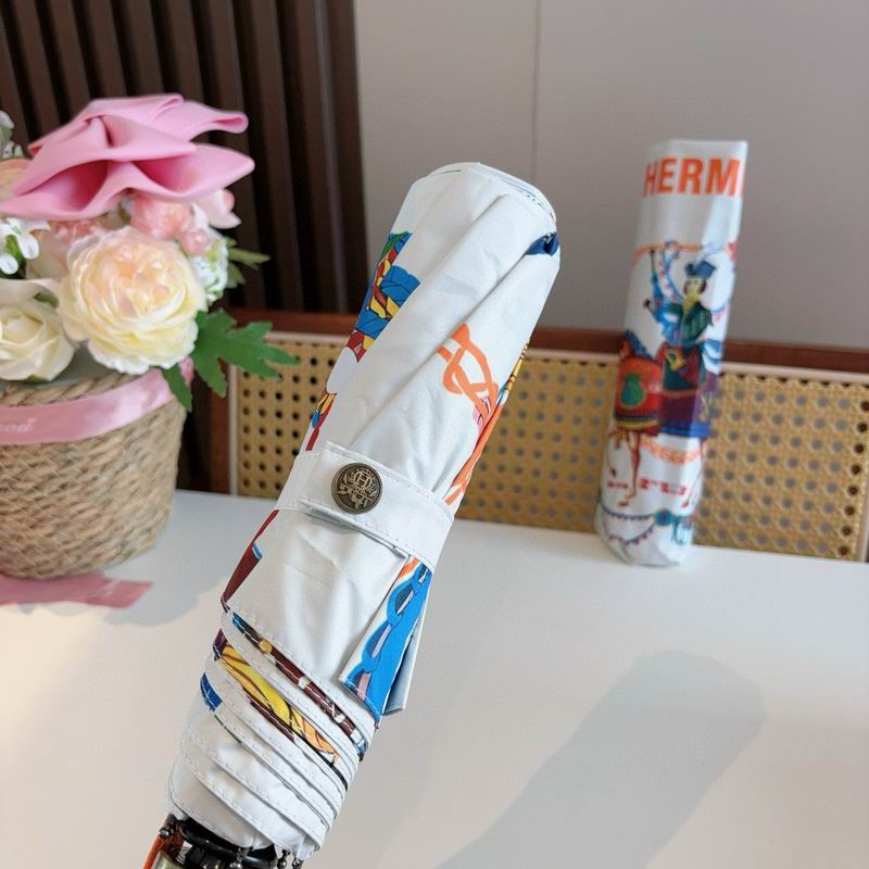 Hermes Umbrella (30)