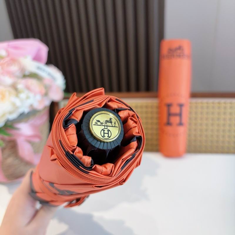 Hermes Umbrella (300)