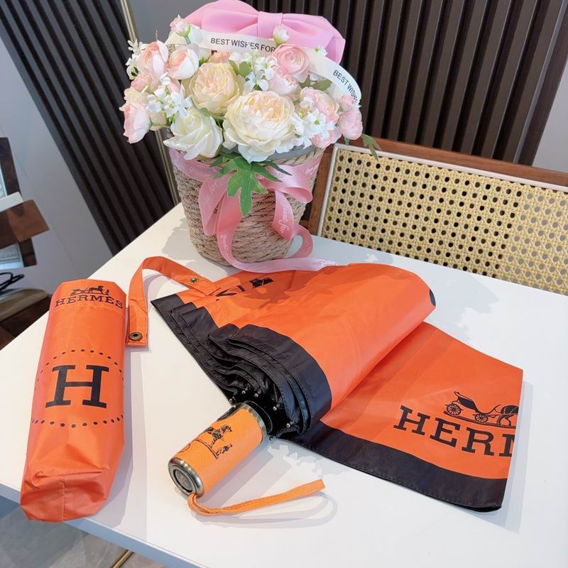 Hermes Umbrella (301)