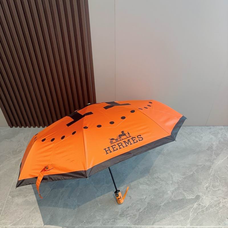 Hermes Umbrella (304)