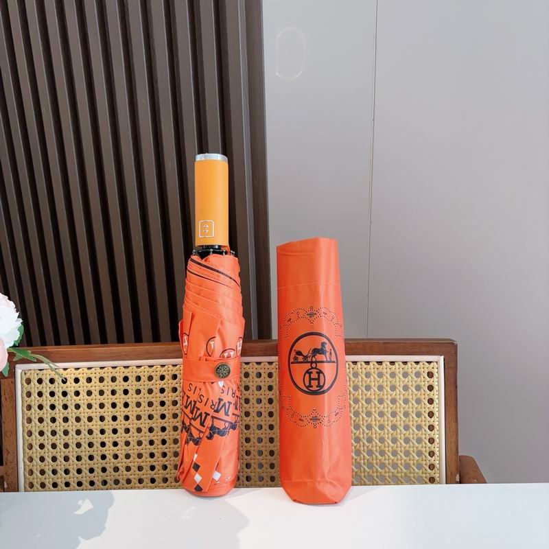 Hermes Umbrella (307)