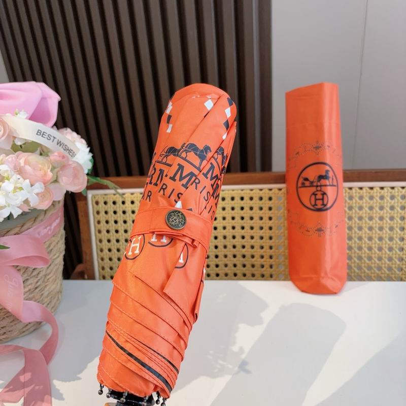 Hermes Umbrella (308)
