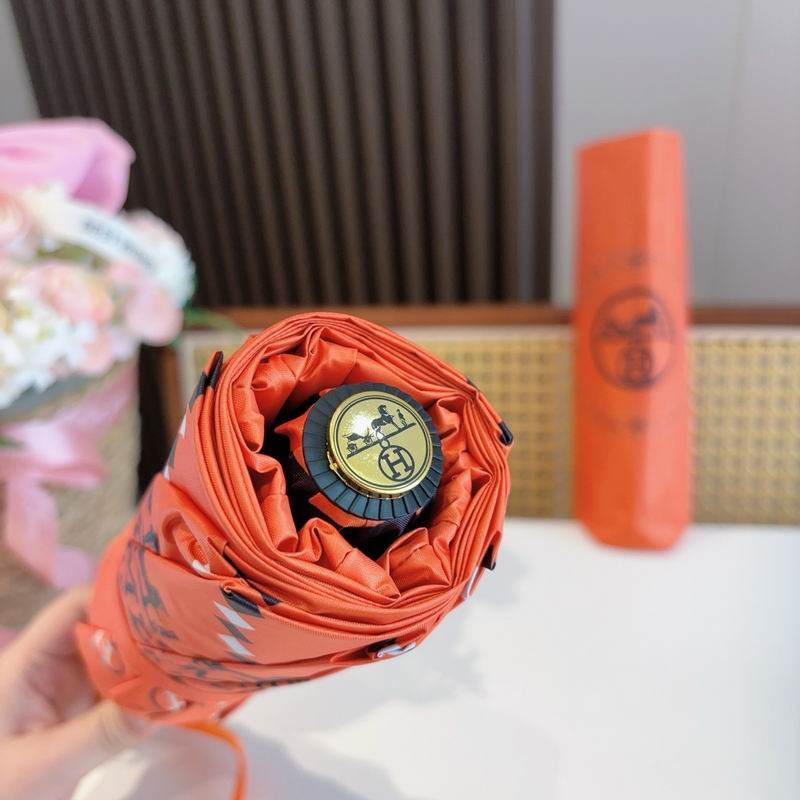 Hermes Umbrella (309)