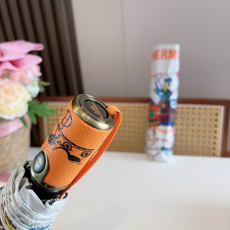 Hermes Umbrella (31)