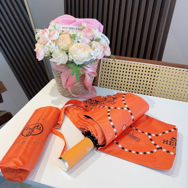 Hermes Umbrella (310)