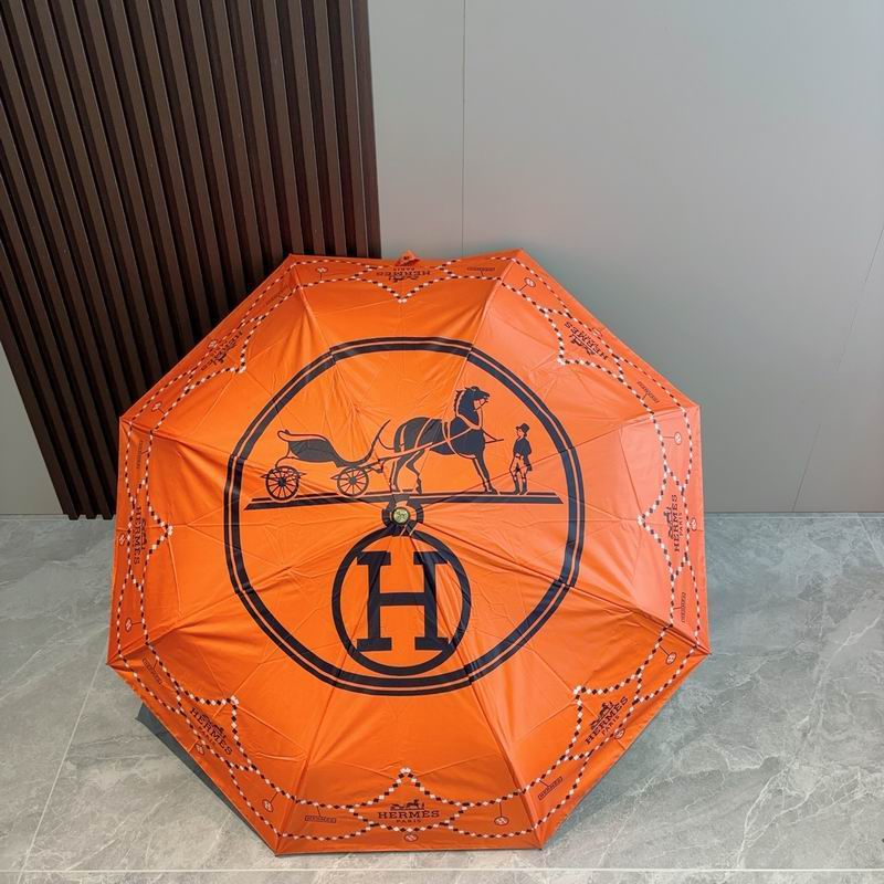 Hermes Umbrella (311)